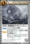 要塞都市ナウマンシティー