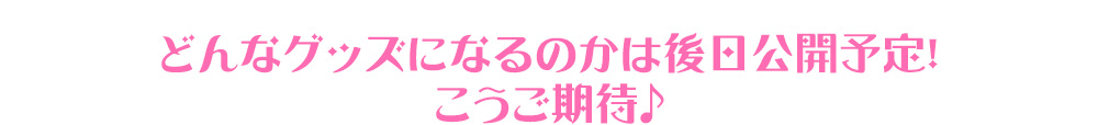 第5回ディーバ総選挙 ～3学期末総選挙～