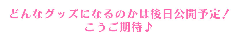 第6回ディーバ総選挙投票