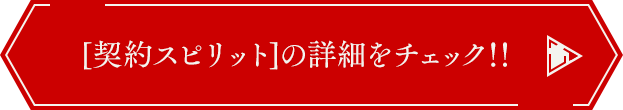 [契約スピリット]の詳細をチェック！！