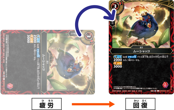 リフレッシュステップ