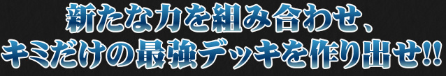 新たな力を組み合わせ、キミだけの最強デッキを作り出せ!!