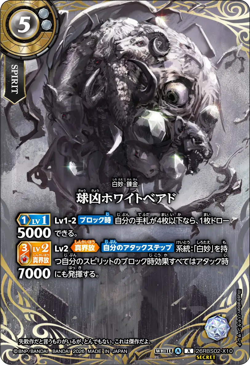 26RBS02-X10_p1