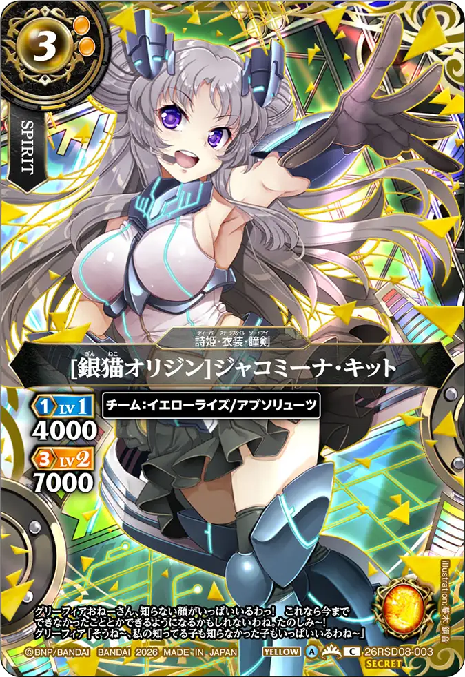 26RSD08-003_p1