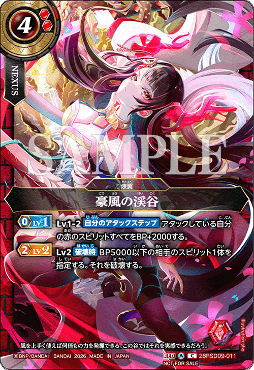 26RSD09-011+
