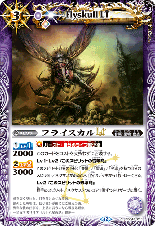 BSC49-011 フライスカルLT
