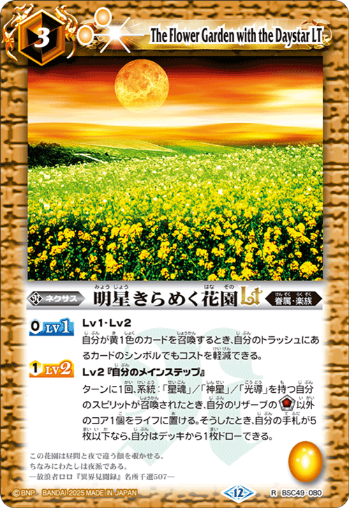 BSC49-080 明星きらめく花園LT